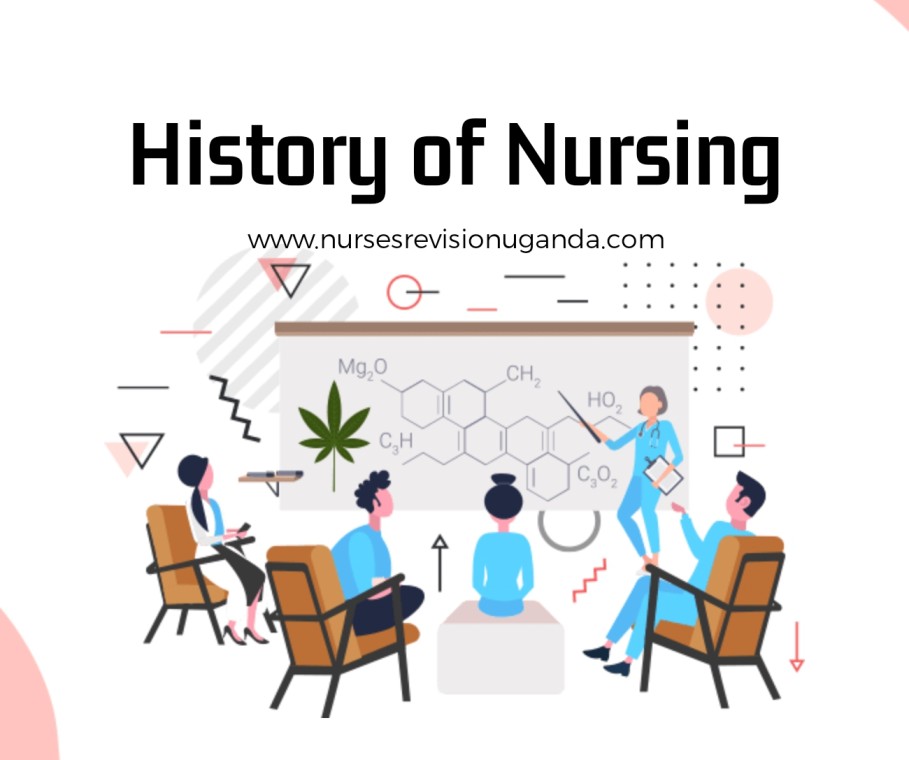 History of nursing