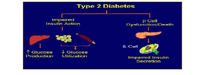 Diabetes Mellitus Nurses Revision 9154