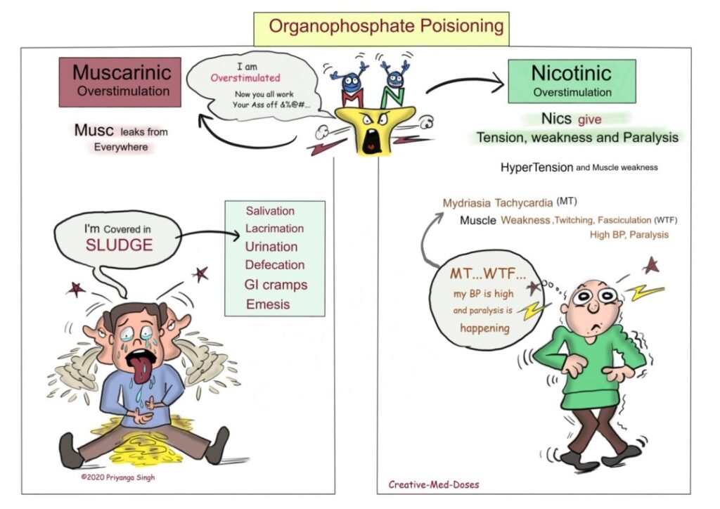 signs and symptoms of organophosphates poisoning