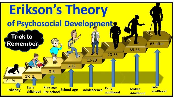 Erikson Stages of Psychosocial Development
