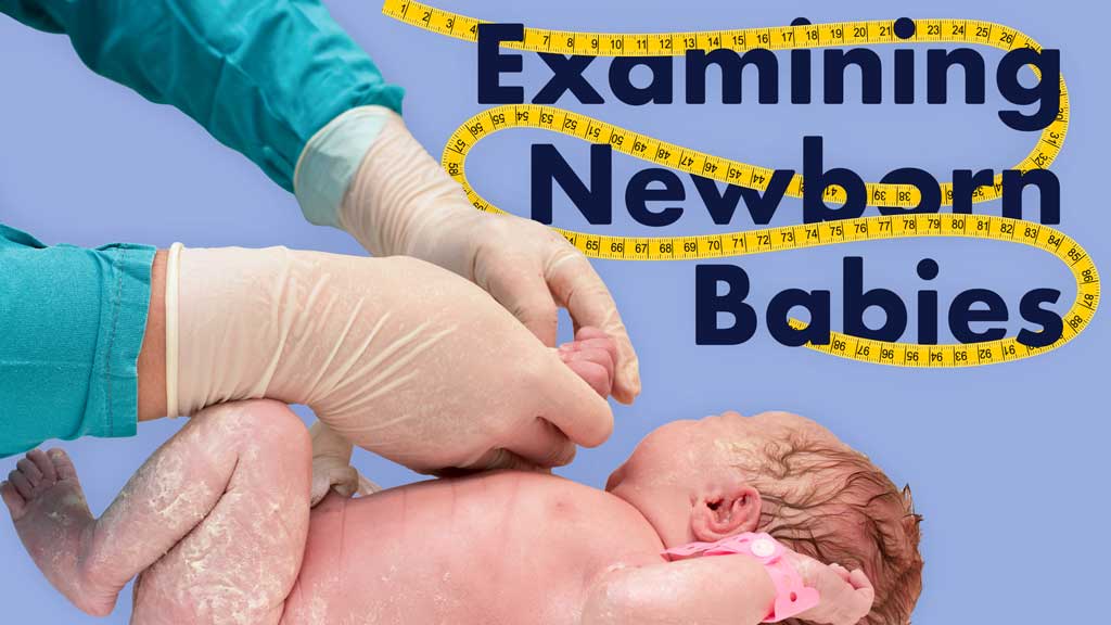 Examination of a Newborn