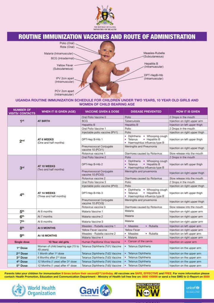 immunization schedule