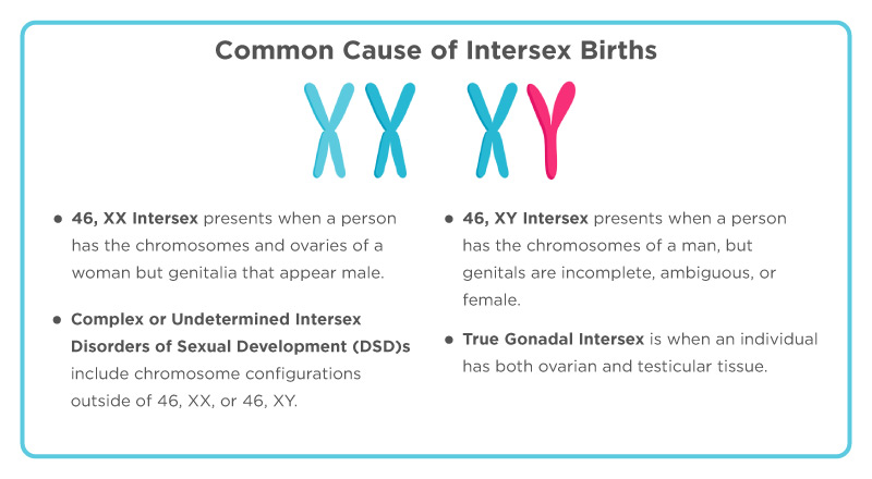 Causes of Intersex Conditions