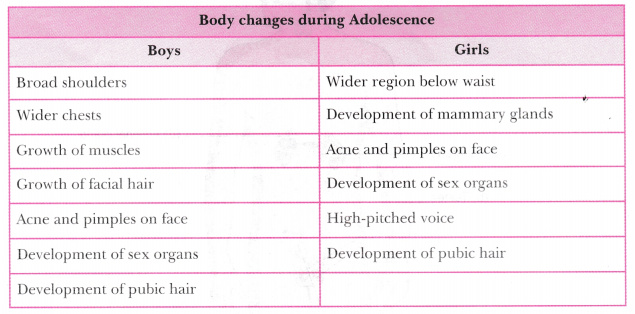 Changes during Adolescence