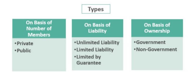 Companies Types JOINT STOCK COMPANIES - Nurses Revision