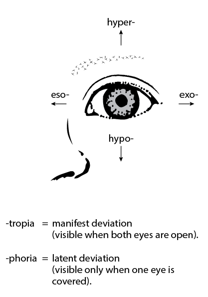 Pathophysiology of Strabismus