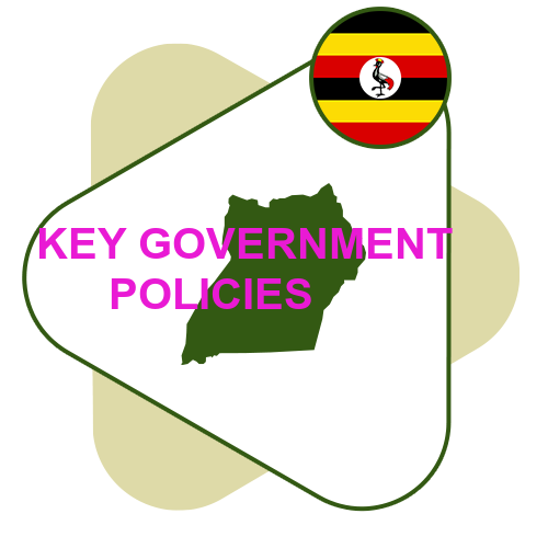 KEY GOVERNMENT POLICIES