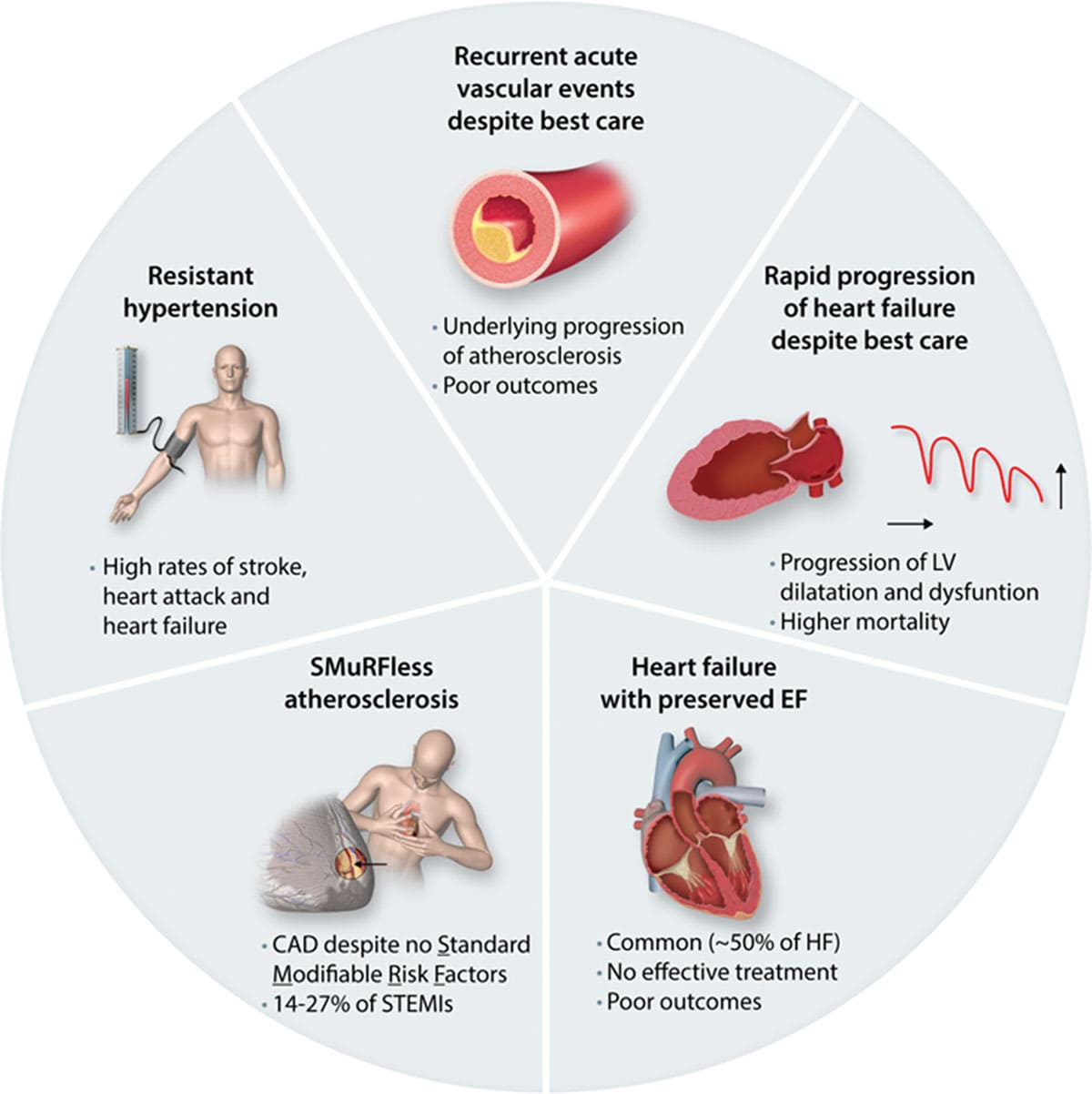Drugs Used in the Treatment of Cardiovascular Disorders