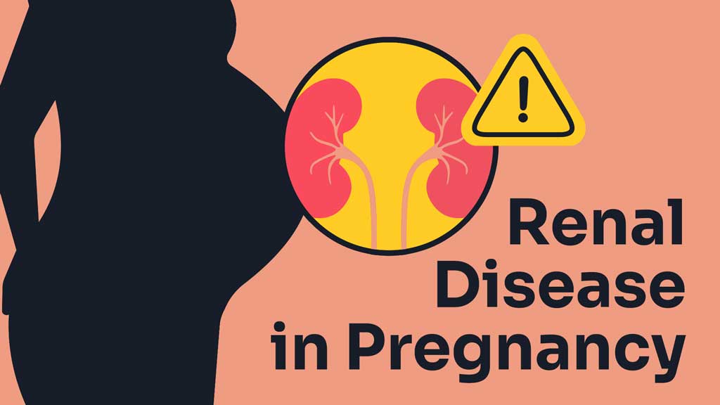 Renal Diseases in Pregnancy