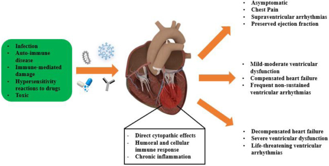 Inflammatory disorders of the Heart and Blood Vessels