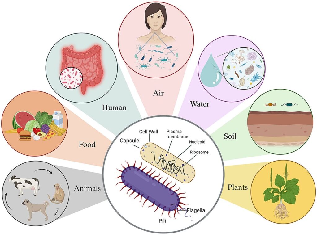 Pathological effects of microorganisms uhpab (1)