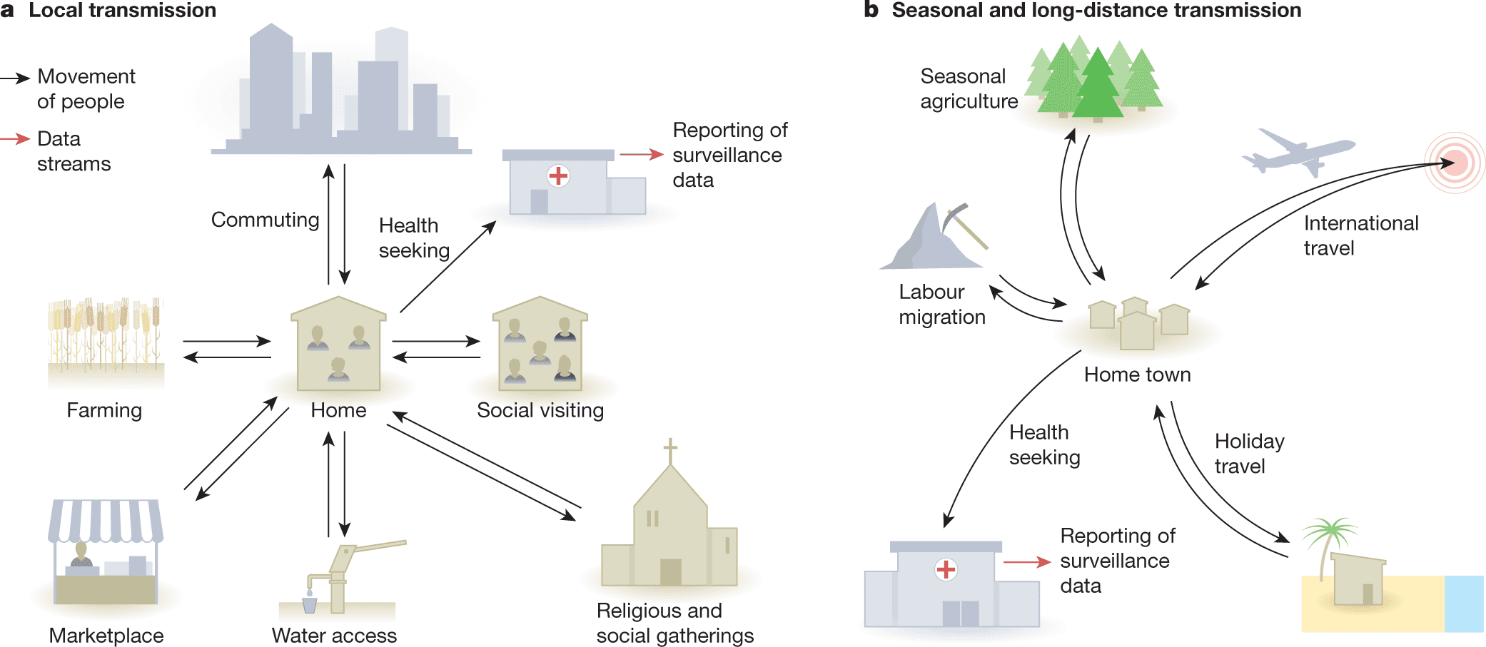 Social Aspects of Diseases and Hospitalization