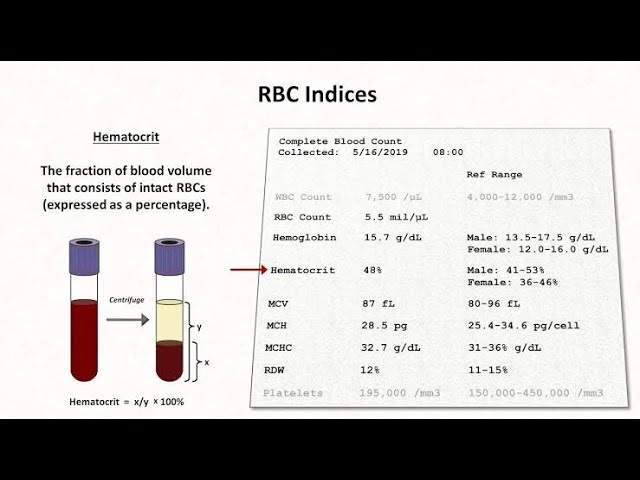 HAEMATOLOGICAL INDICES