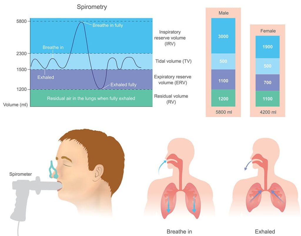 Respiratory Function Tests