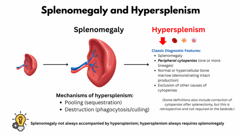 Splenomegaly and Hypersplenism