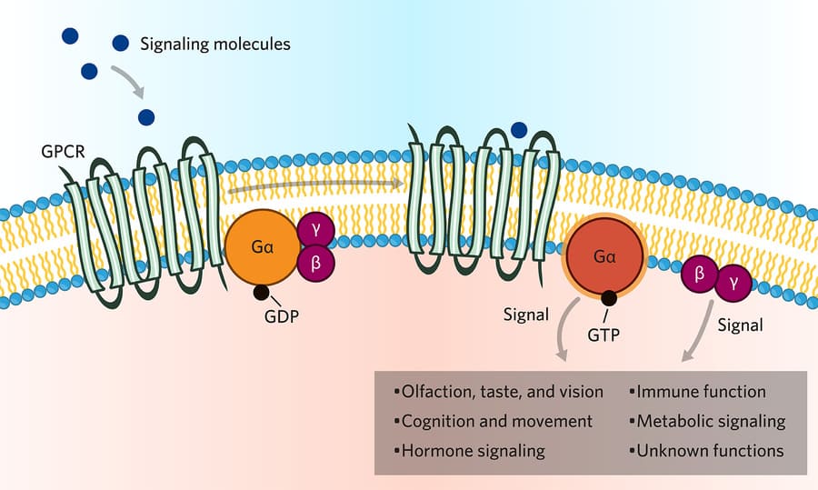 signaling