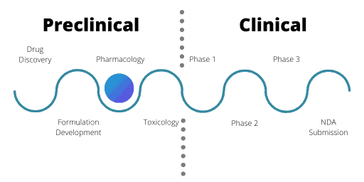 Preclinical Testing