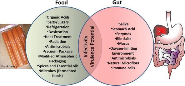 Gastro-intestinal Infections (GIs)