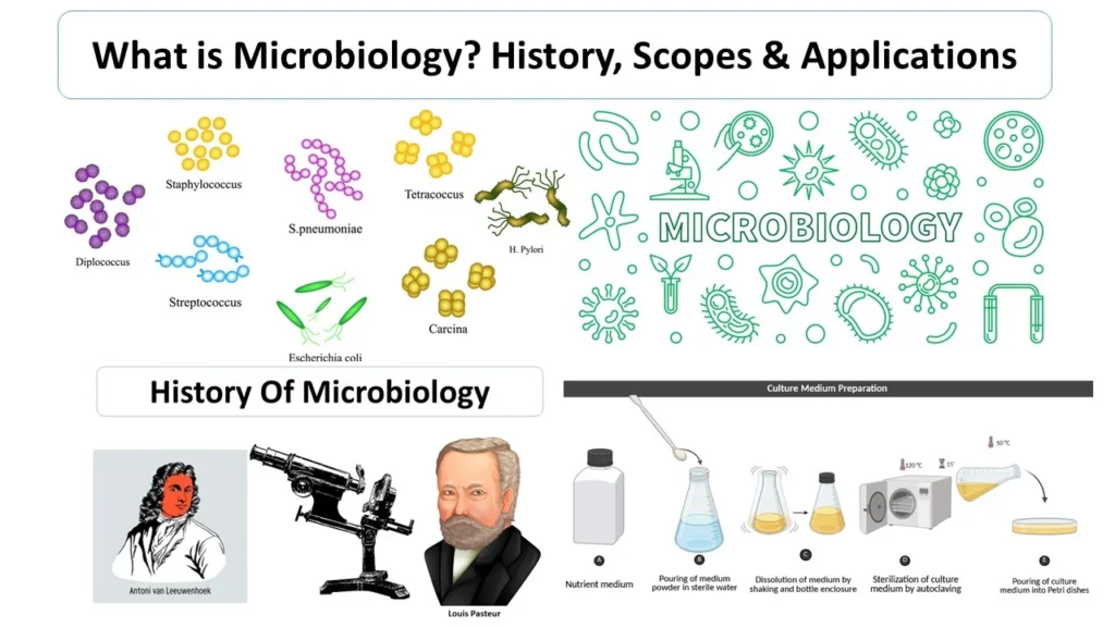 History & Diagnostics in Microbiology