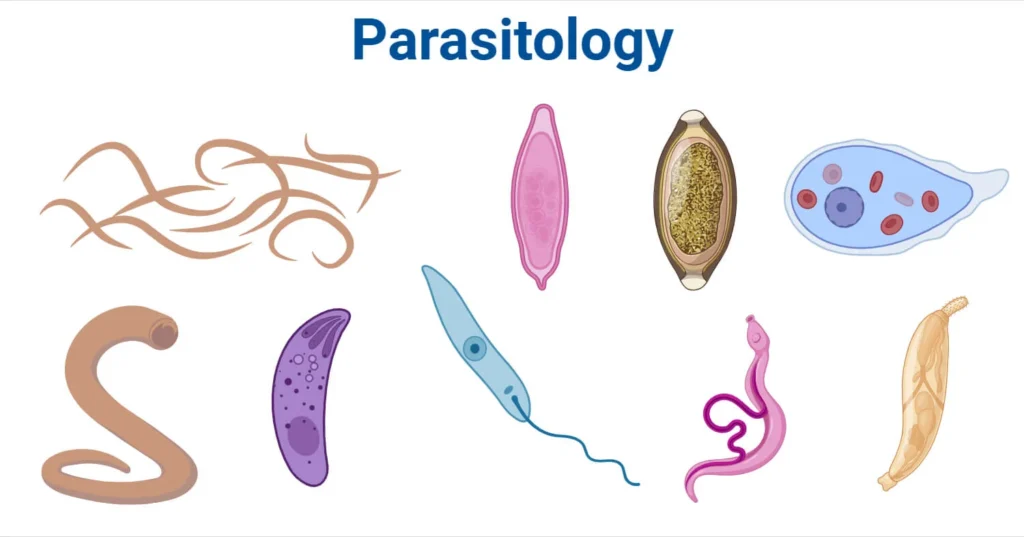 Introduction to Parasitology
