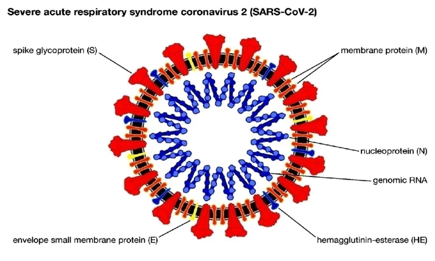 SEVERE ACUTE RESPIRATORY SYNDROME (SARs)