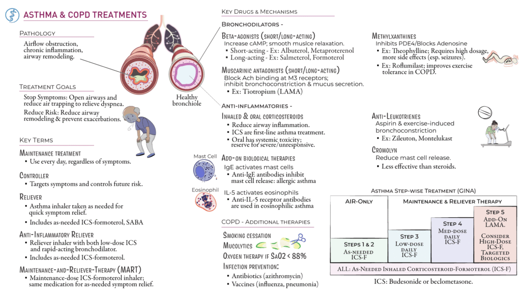 Pharmacotherapy of COPD and Asthma