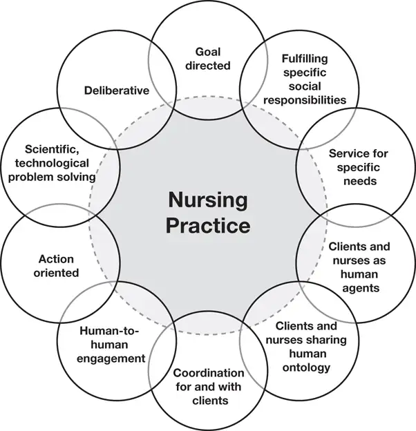 Nursing as a Therapeutic and Professional Process