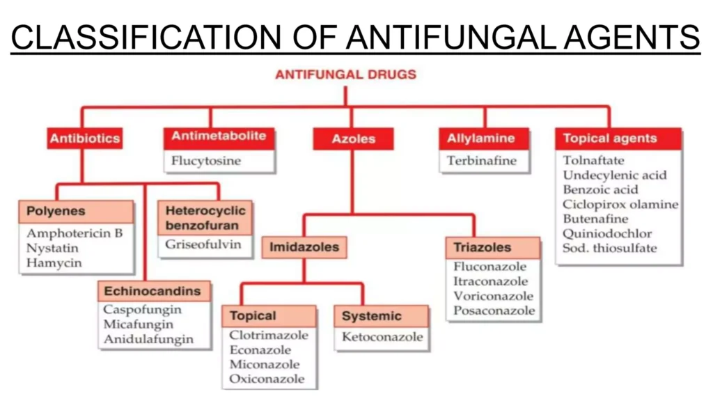 Pharmacology of Antifungal Agents